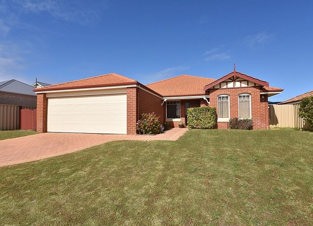 21 Ammanford Crescent, Butler WA 6036