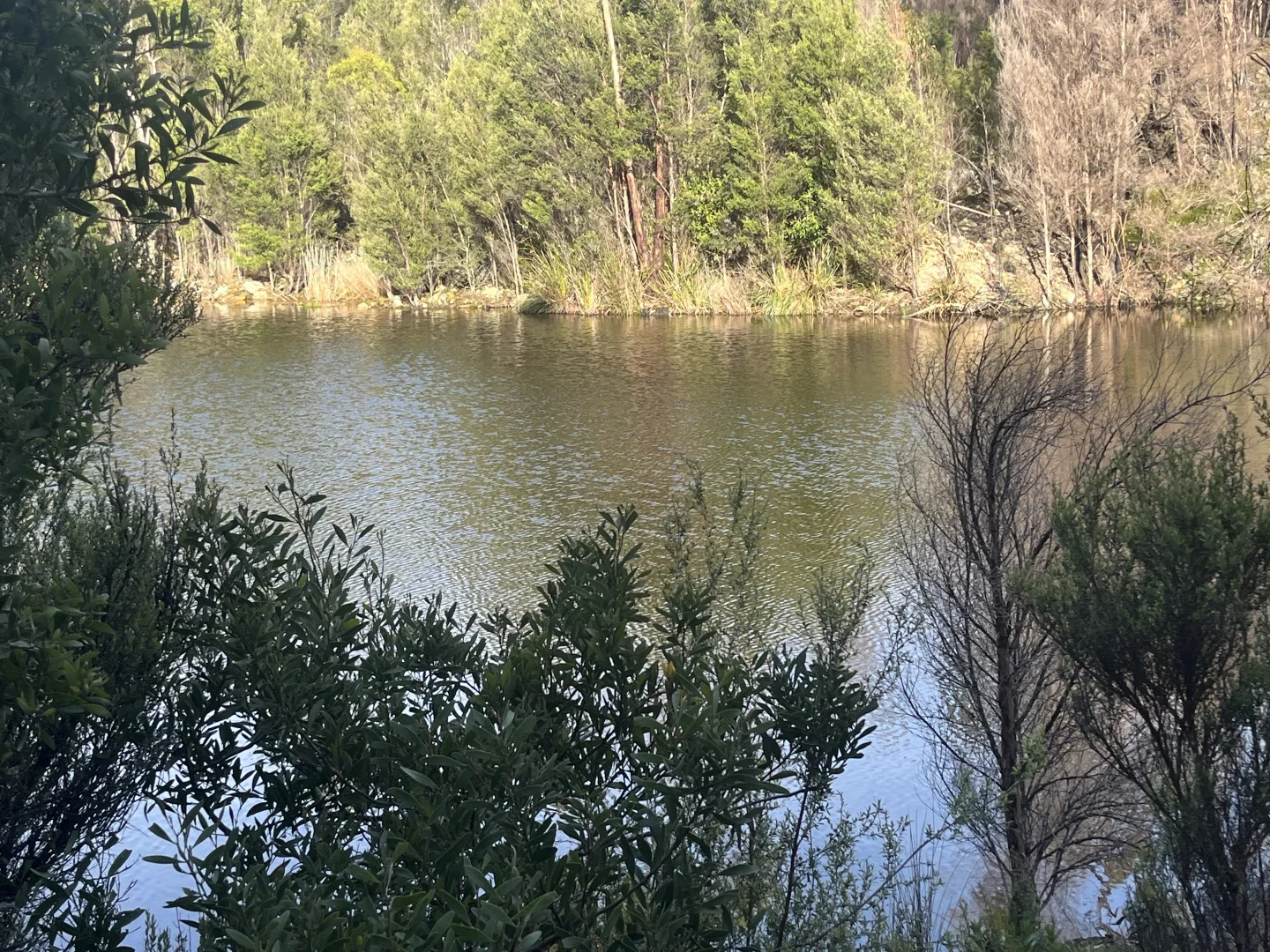 Additional image 8 of . Wilsons Road, Granville Harbour TAS 7469