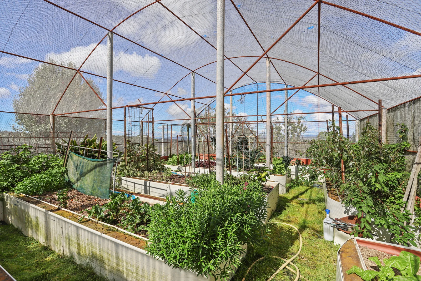 Additional image 31 of "Wyanga" 195 Gills Road, Uralla NSW 2358