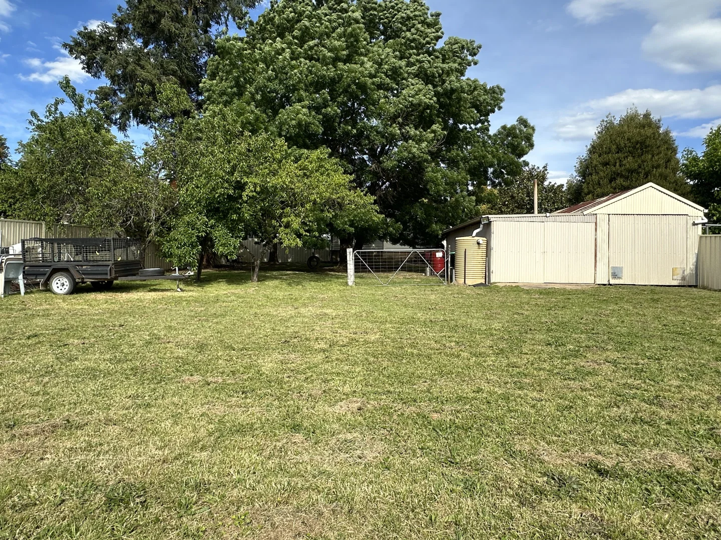 Image 15