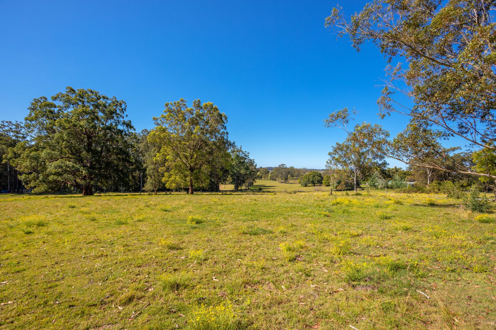 158 Long Point Road, Moorland NSW 2443, Image 2