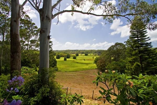 225 Skinners Shoot Road, SKINNERS SHOOT NSW 2481, Image 1