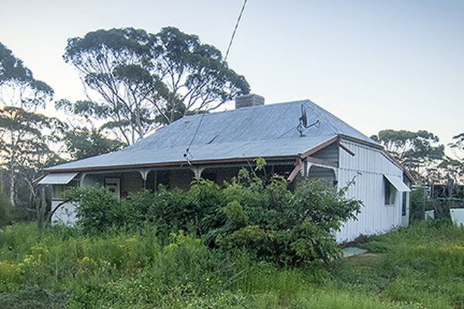 Picture of 30 Adam Street, KUNUNOPPIN WA 6489