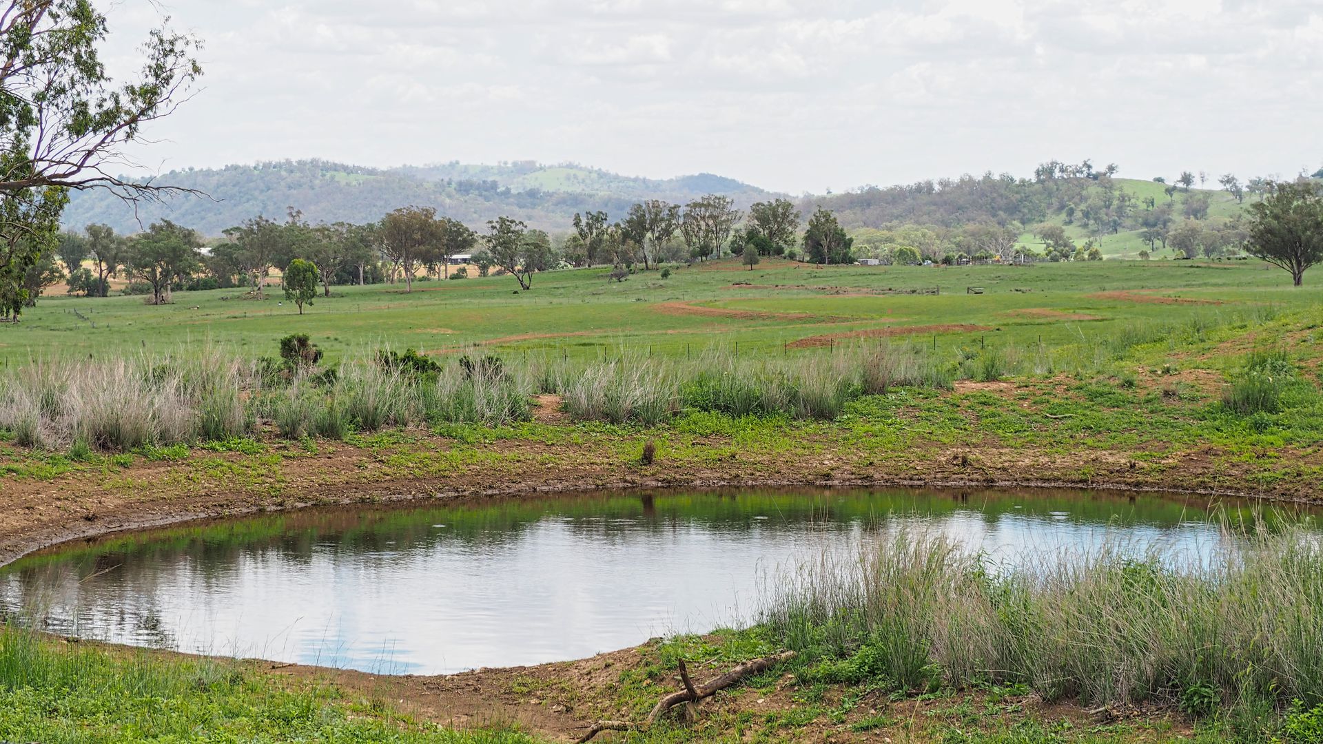 1132 Upper Bingara Road, Bingara NSW 2404 House for Sale 860,000