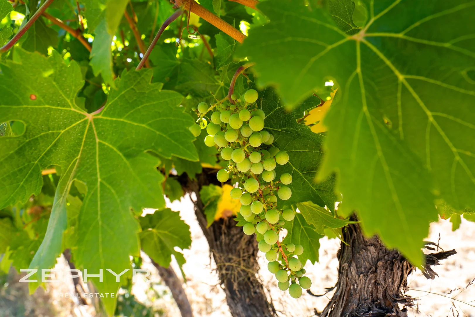 Additional image 35 of 11 The Dress Circle, Henty WA 6236