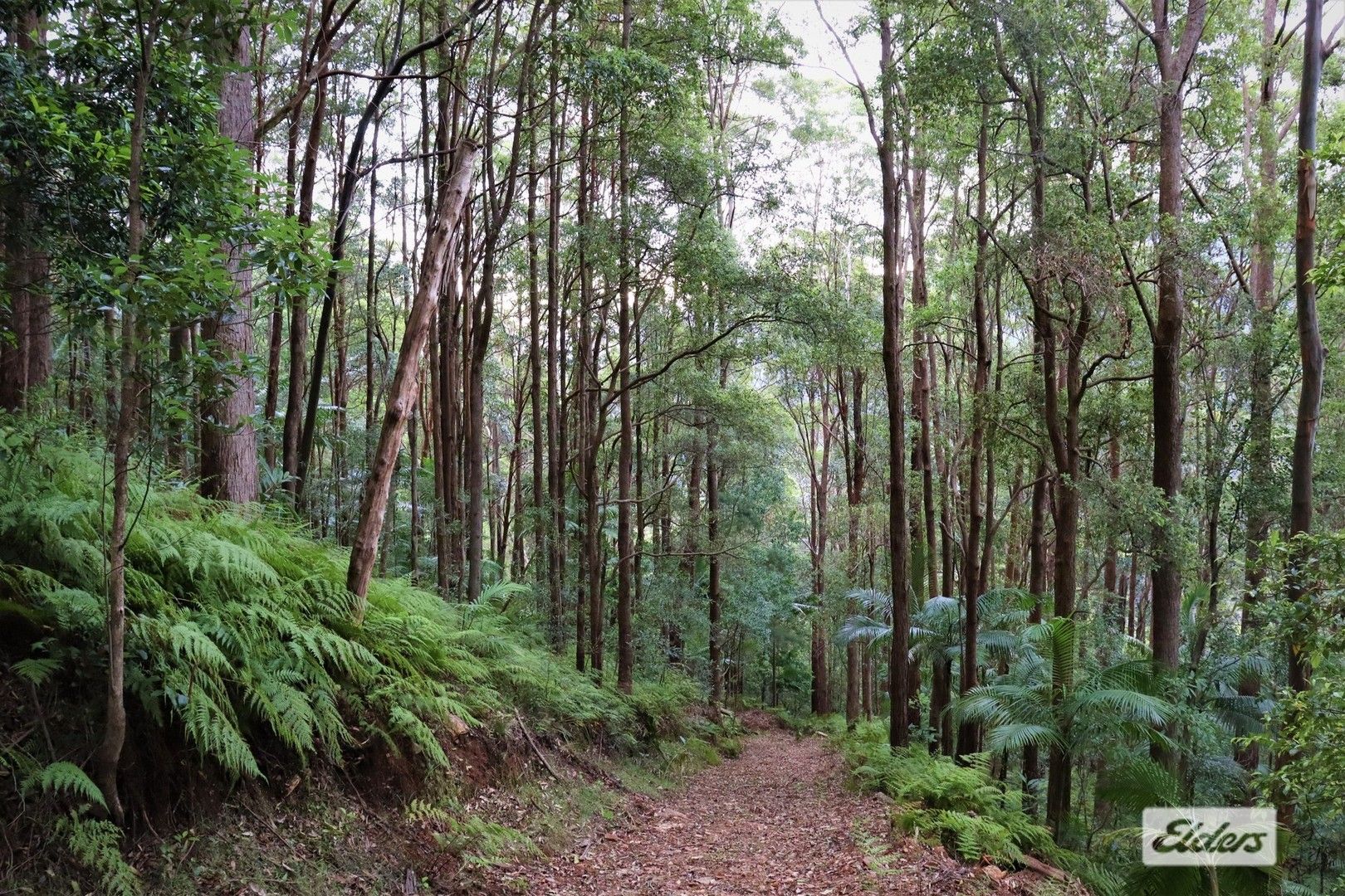 Lot 1 Pine Log Road, Doon Doon NSW 2484, Image 0