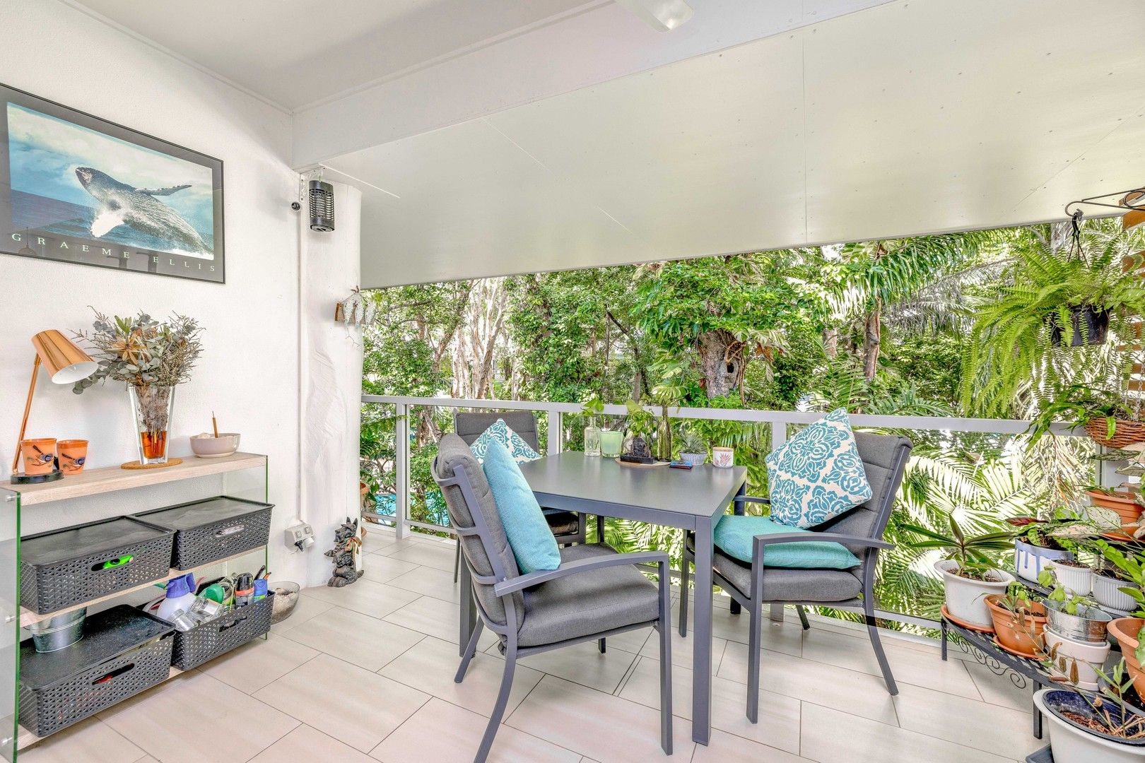 4403/2-22 Veivers Road, Palm Cove QLD 4879, Image 0