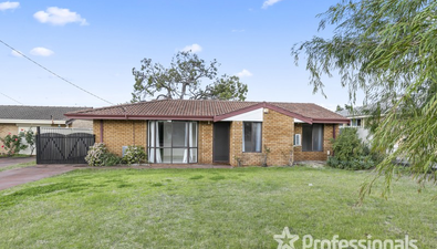 Picture of 6 Kruse Place, MIRRABOOKA WA 6061