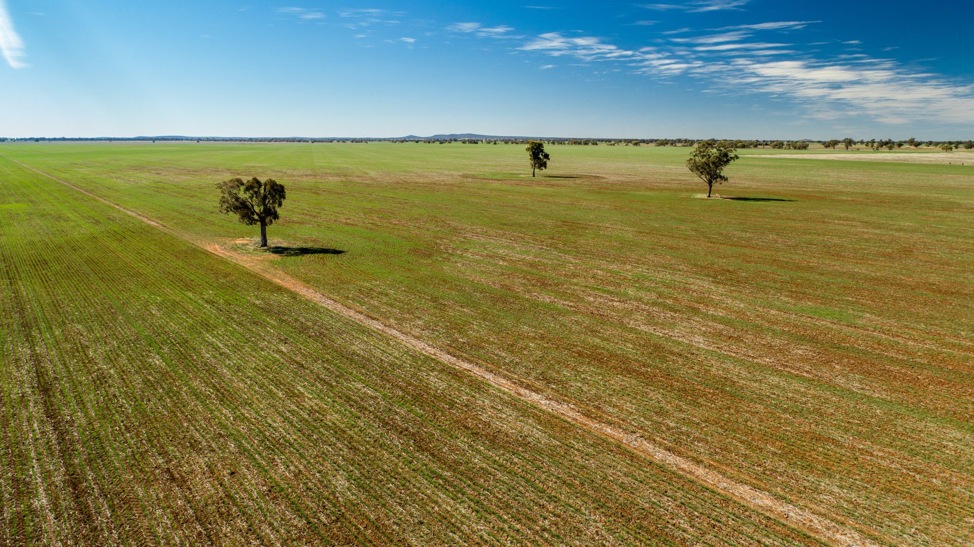 Narrandera NSW 2700, Image 2