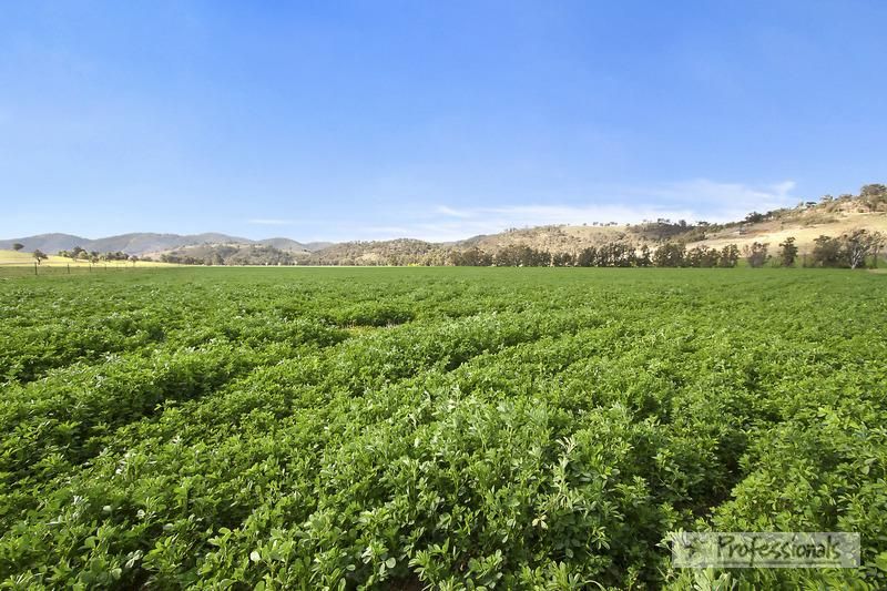 "Glen Dhu" Back Woolomin Road, DUNGOWAN NSW 2340, Image 0