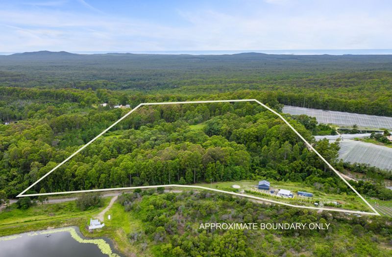 262 Grays Road, Halfway Creek NSW 2460 House for Sale Domain