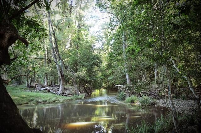 Lot 524 The Bucketts Way, Stroud NSW 2425, Image 1