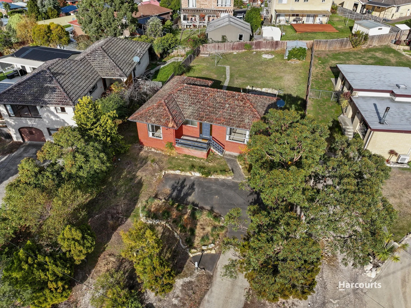 Image 15
