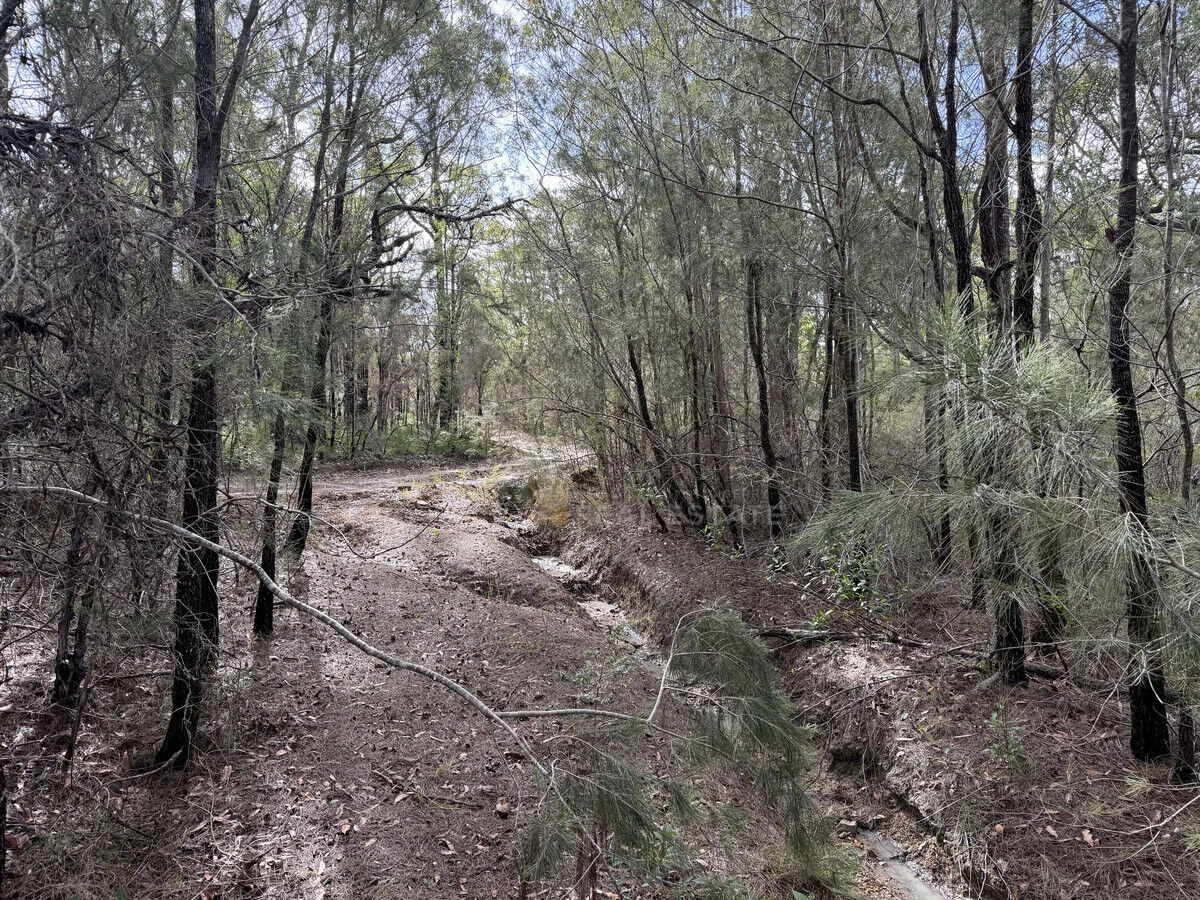Image 9