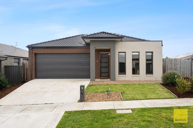 Picture of 65 Kelpie Boulevard, CURLEWIS VIC 3222