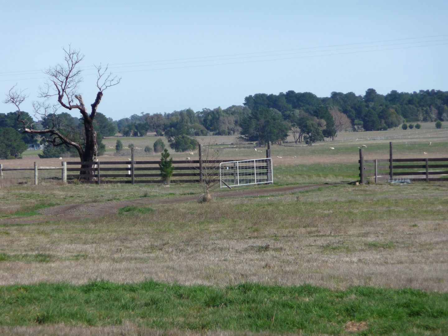 Lot 2 (1096) Linton - Carngham Road, Snake Valley VIC 3351, Image 1