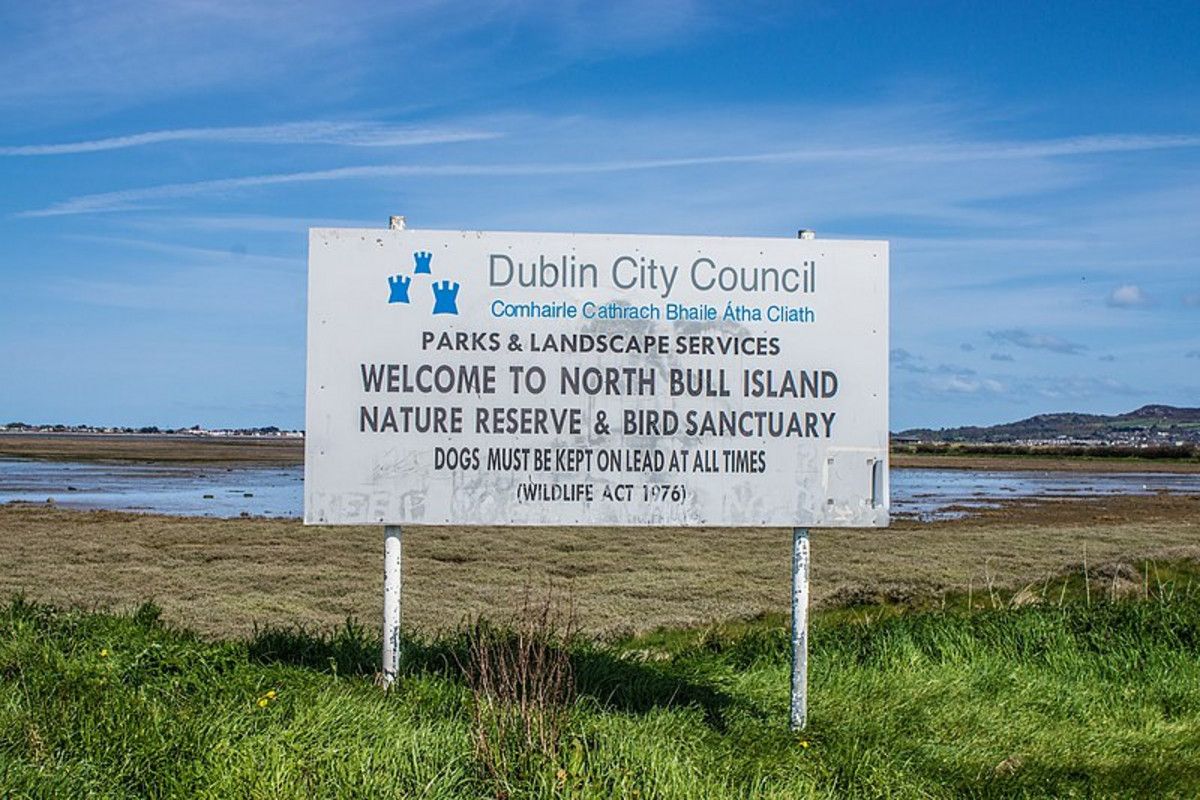 Lot 12 Ruskin Road, Dublin SA 5501 Domain