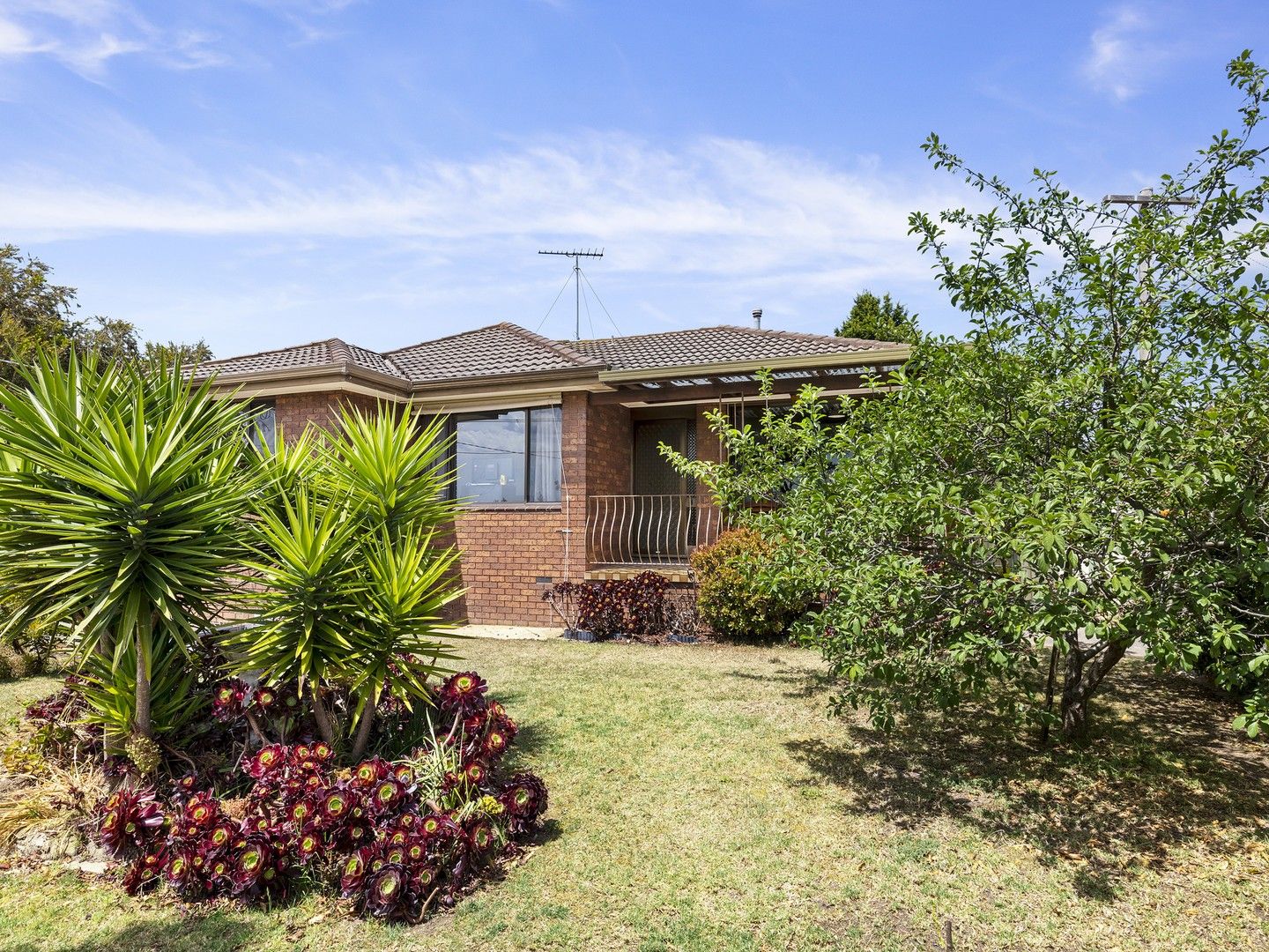 14 Rushden Close, Bell Post Hill VIC 3215 Domain