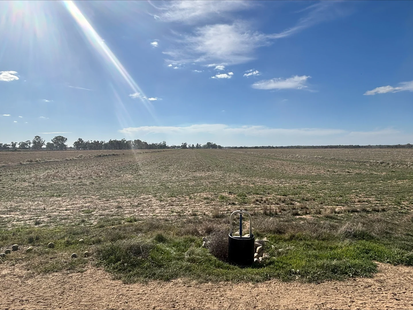 Image 13