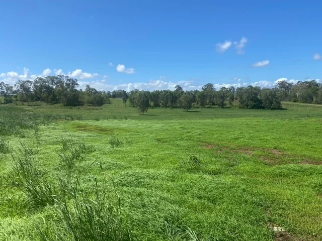 Additional image 2 of Lot 210 Bedarra Court, Bloomsbury QLD 4799