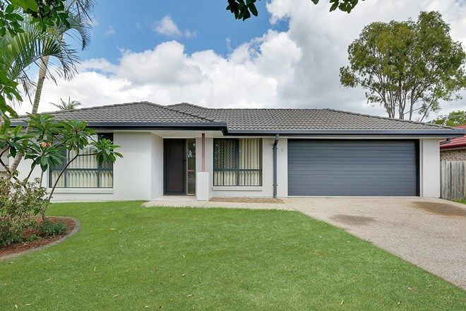 3 5 Bedroom Houses For Rent In Bray Park Qld 4500 Domain