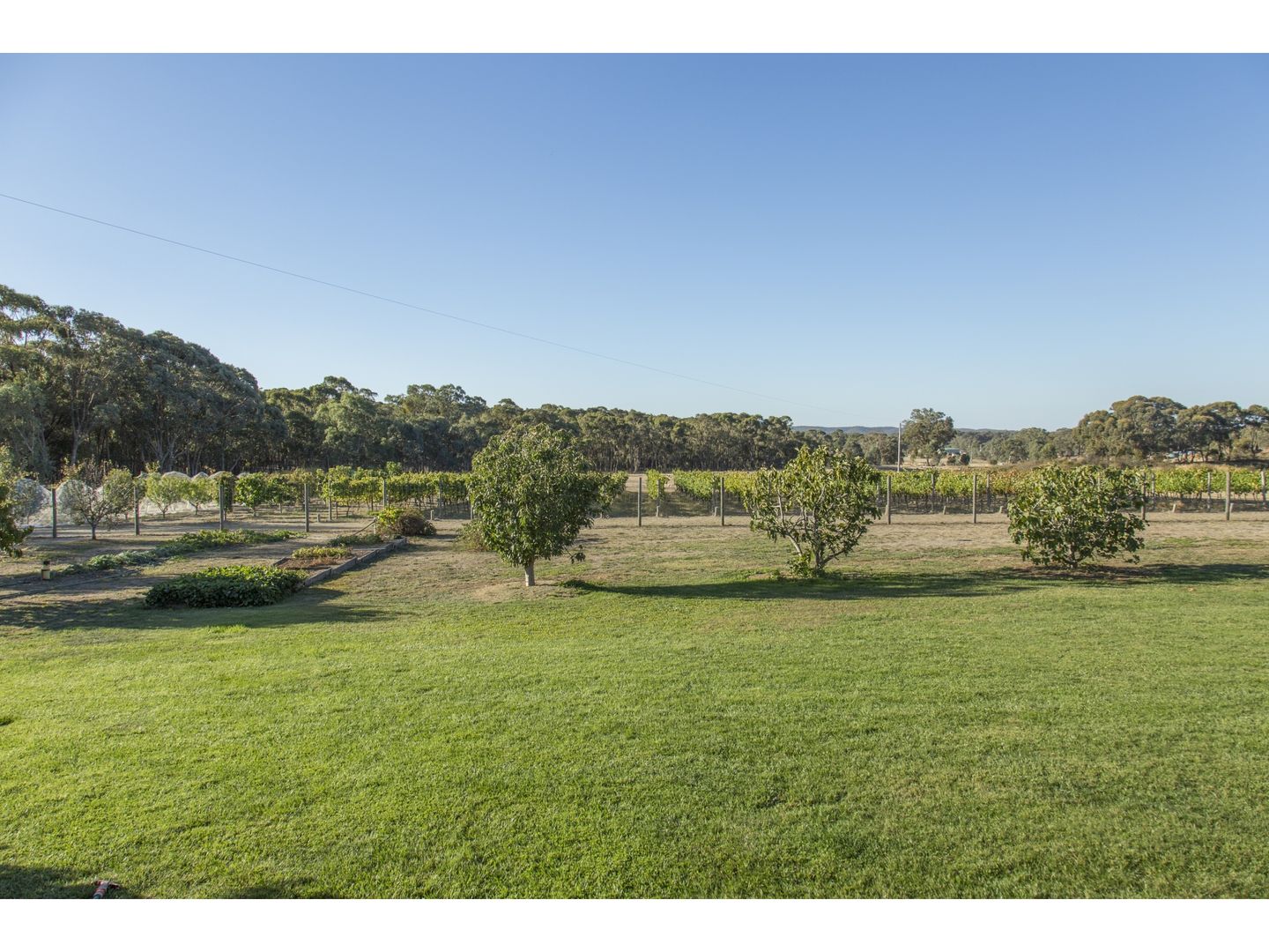 130 Rooney Road, Mandurang South VIC 3551, Image 2