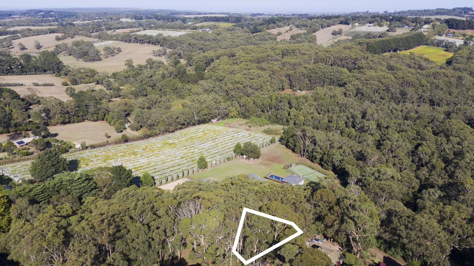 33 Elizabeth Road, Red Hill VIC 3937, Image 0