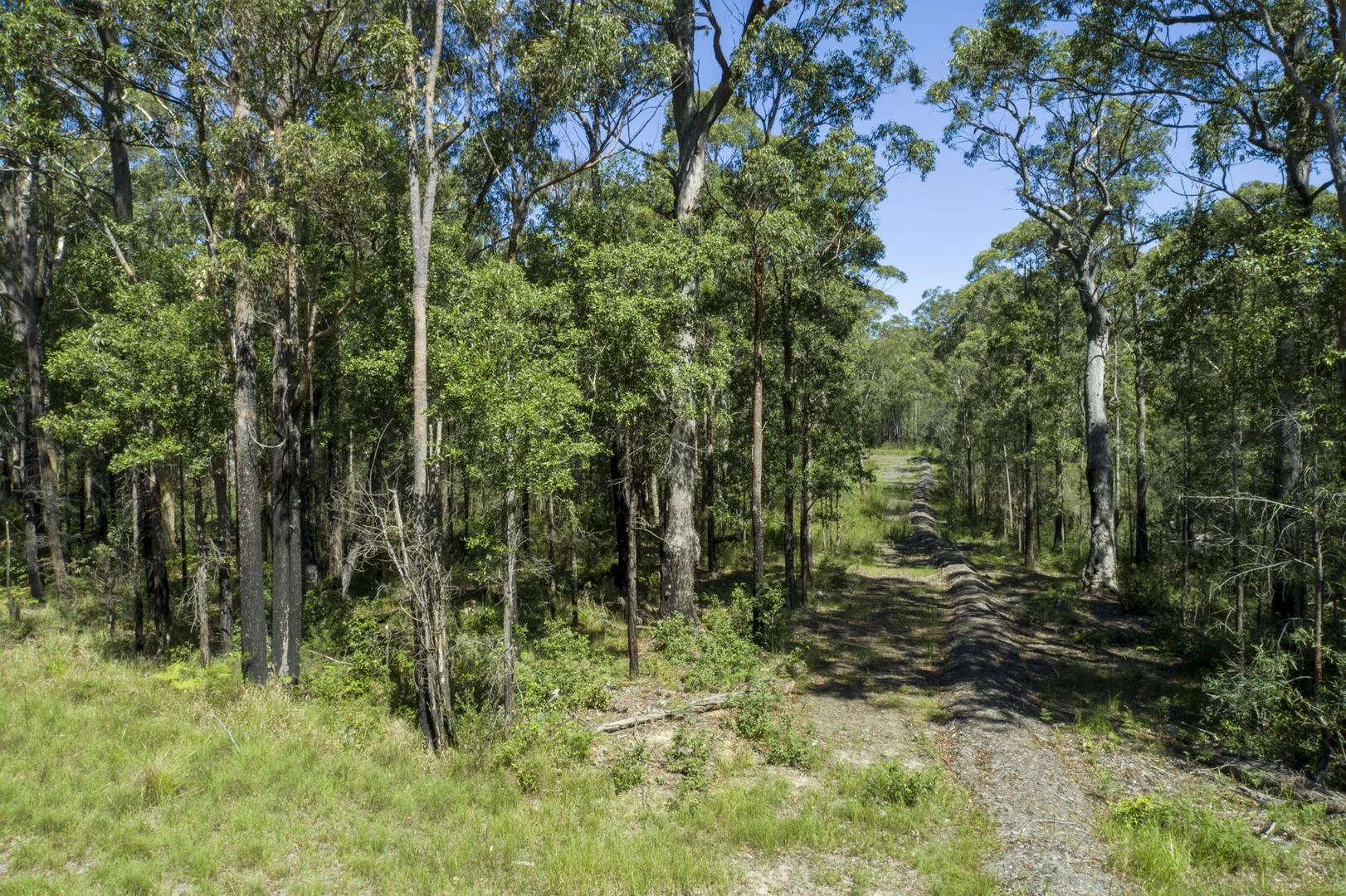 Additional image 7 of Lot 2 Parnell Road, Tomerong NSW 2540
