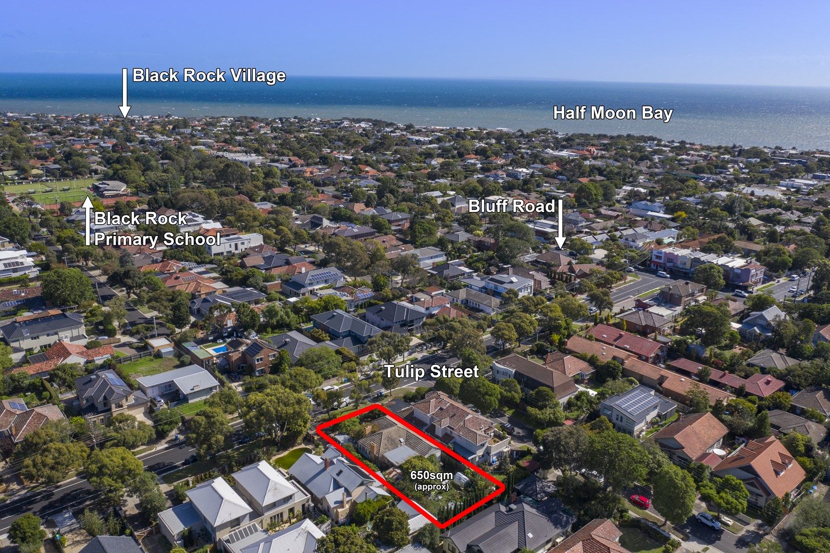 13 Tulip Street, Black Rock VIC 3193, Image 0