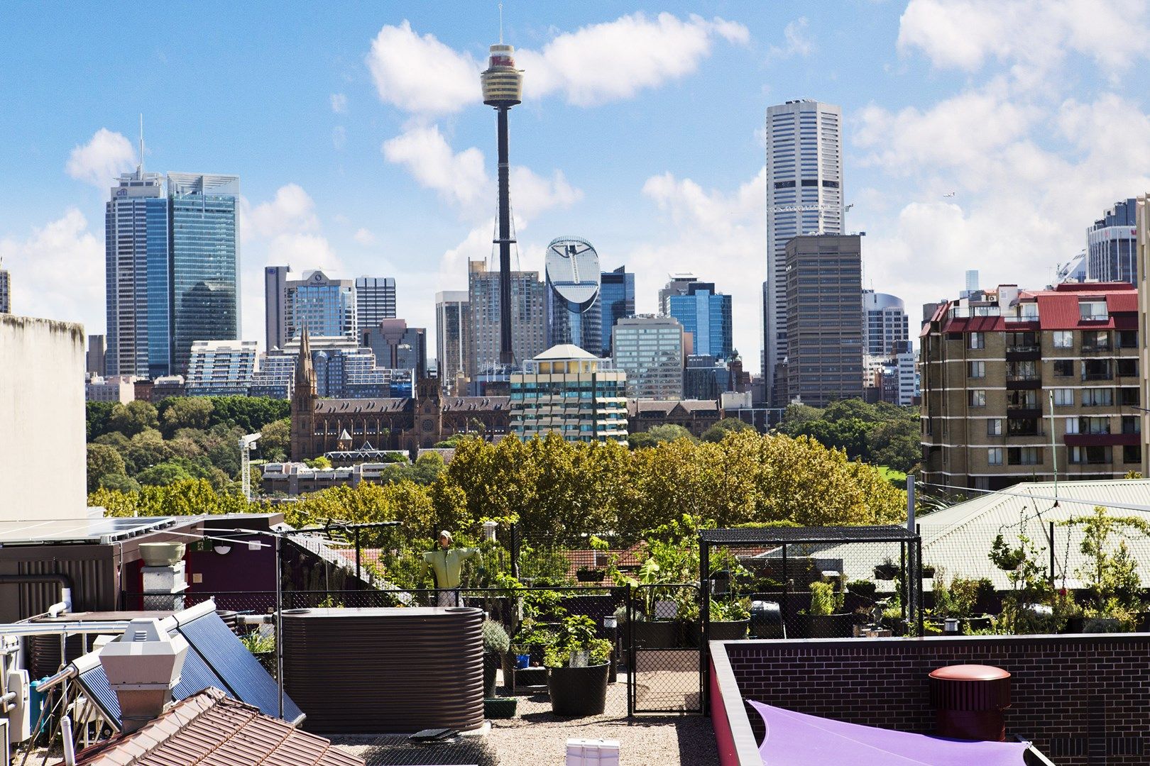 20/99 Macleay Street, Potts Point NSW 2011, Image 0