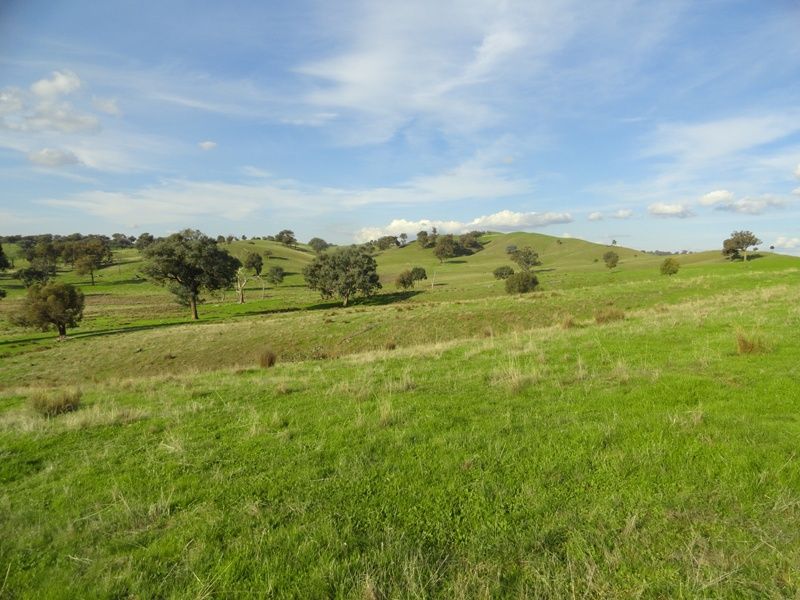 Lot 58 'Part Montrose' Hume Freeway, MULLENGANDRA NSW 2644, Image 0