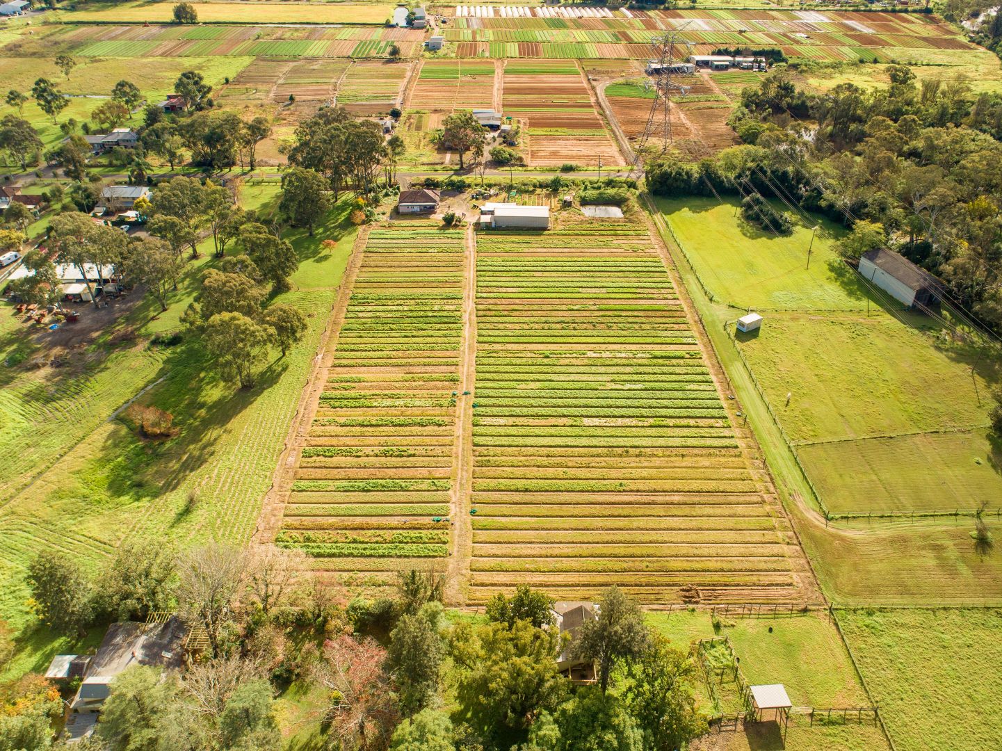 207 Sixth Avenue, Llandilo NSW 2747, Image 1