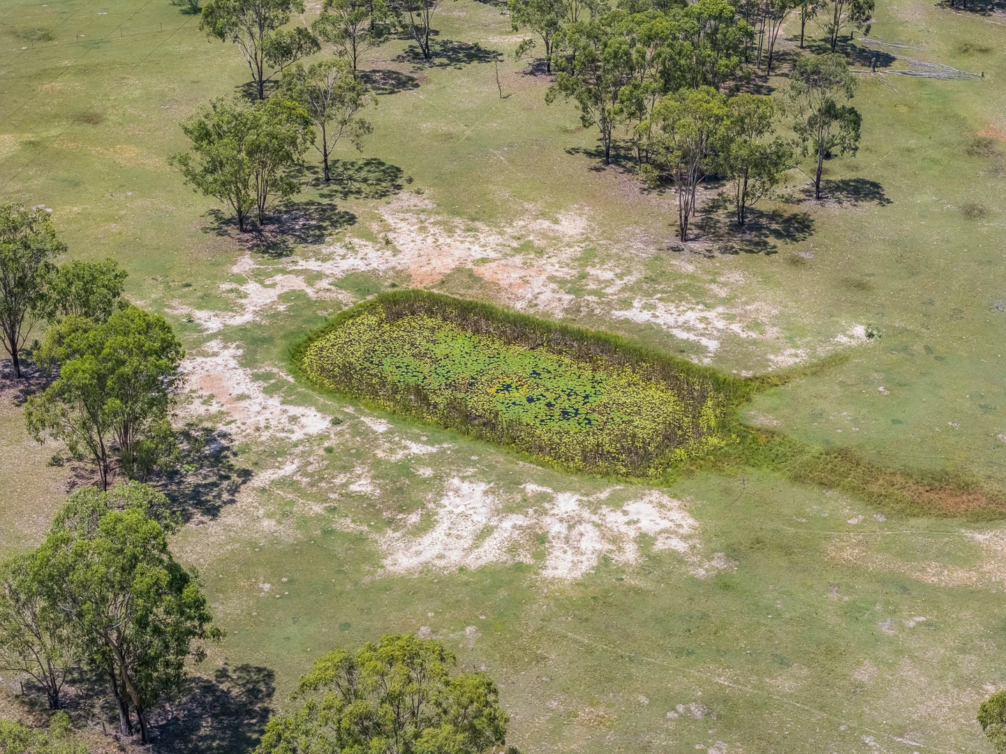 Additional image 22 of 54334 Bruce Highway, Ambrose QLD 4695