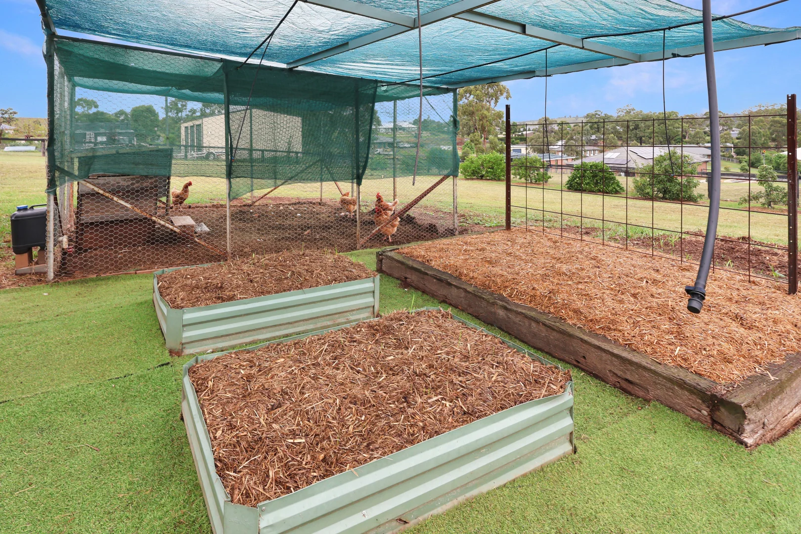 Additional image 32 of 109 Ironbark Road, Muswellbrook NSW 2333