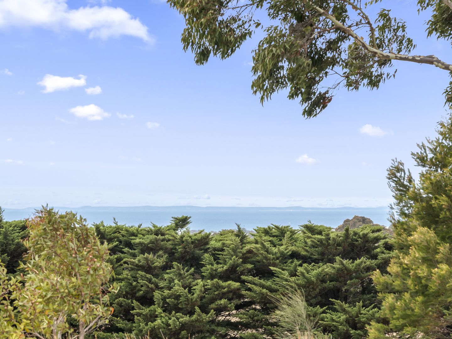 410 Great Ocean Road, Bellbrae VIC 3228 Rural Lifestyle Property for Sale