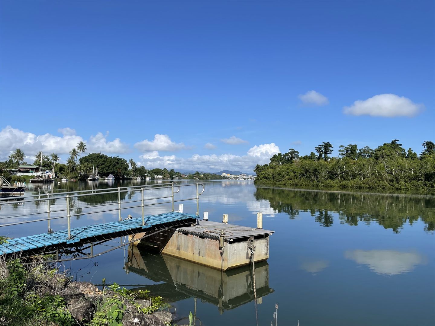 29 Jodrell Street, East Innisfail QLD 4860 Domain