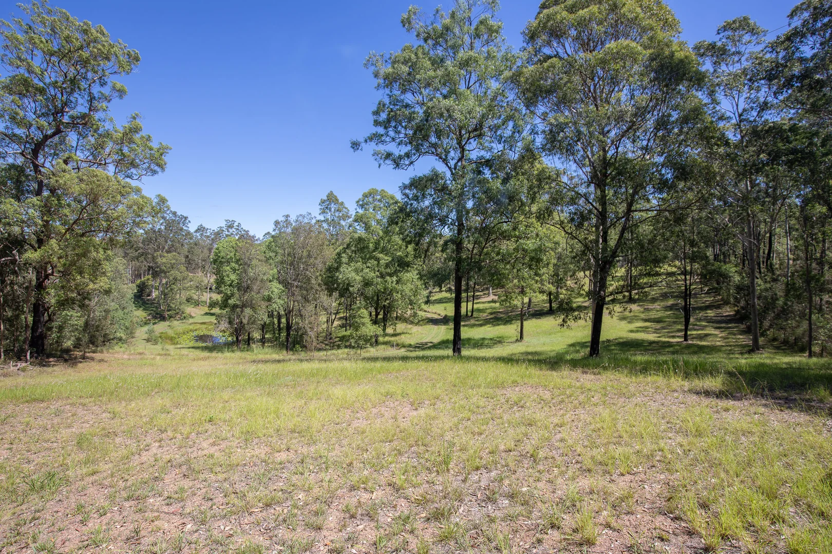 Additional image 24 of 3036 Armidale Road, Hickeys Creek NSW 2440