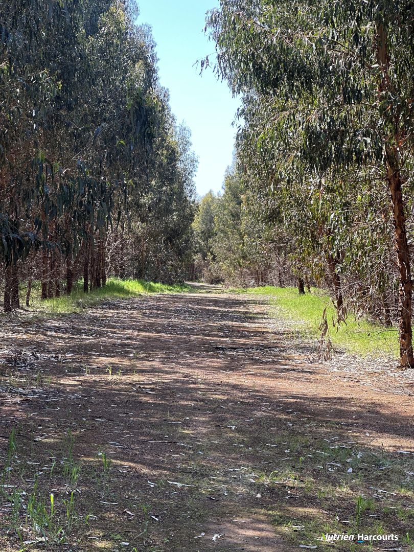 . Mokerdillup Road, Wandillup WA 6256, Image 2