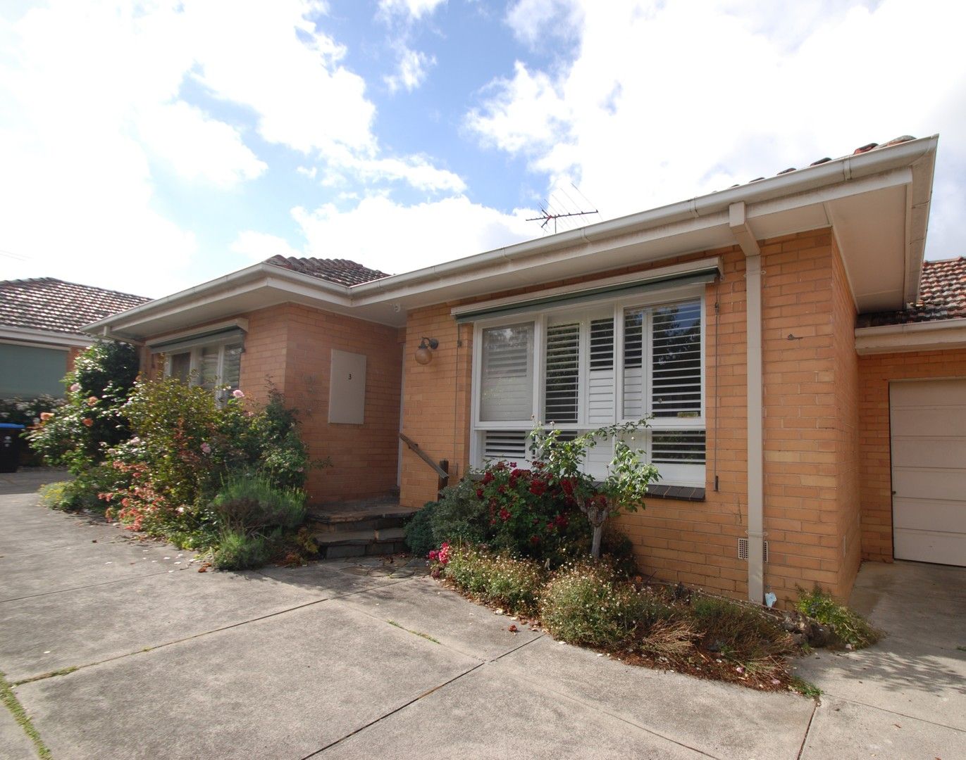 3/8 Creswick St, Glen Iris VIC 3146 Apartment For Rent Domain