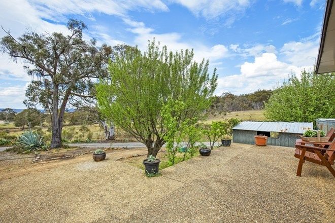 Picture of 684 Carrick Rd, CARRICK NSW 2580