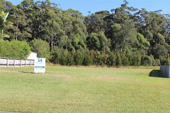 Picture of 53 Flinders Drive, LAURIETON NSW 2443