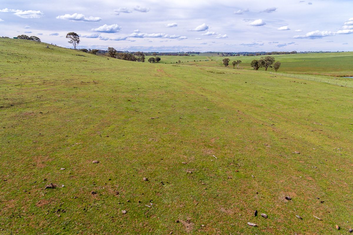 Euchareena, Molong NSW 2866, Image 2