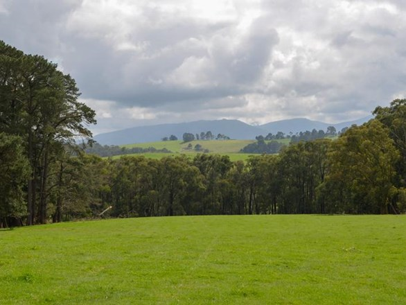 510 Sheepstation Creek Road, Yellingbo VIC 3139