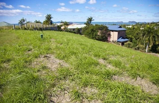 Image 8