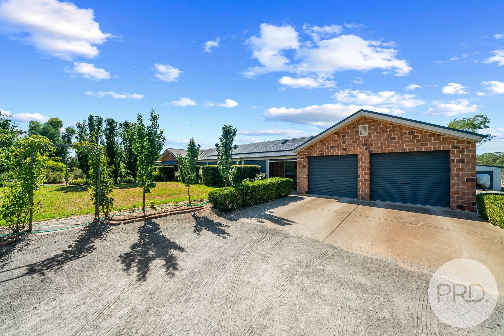 3133 Orr Street, Coolamon NSW 2701 Domain
