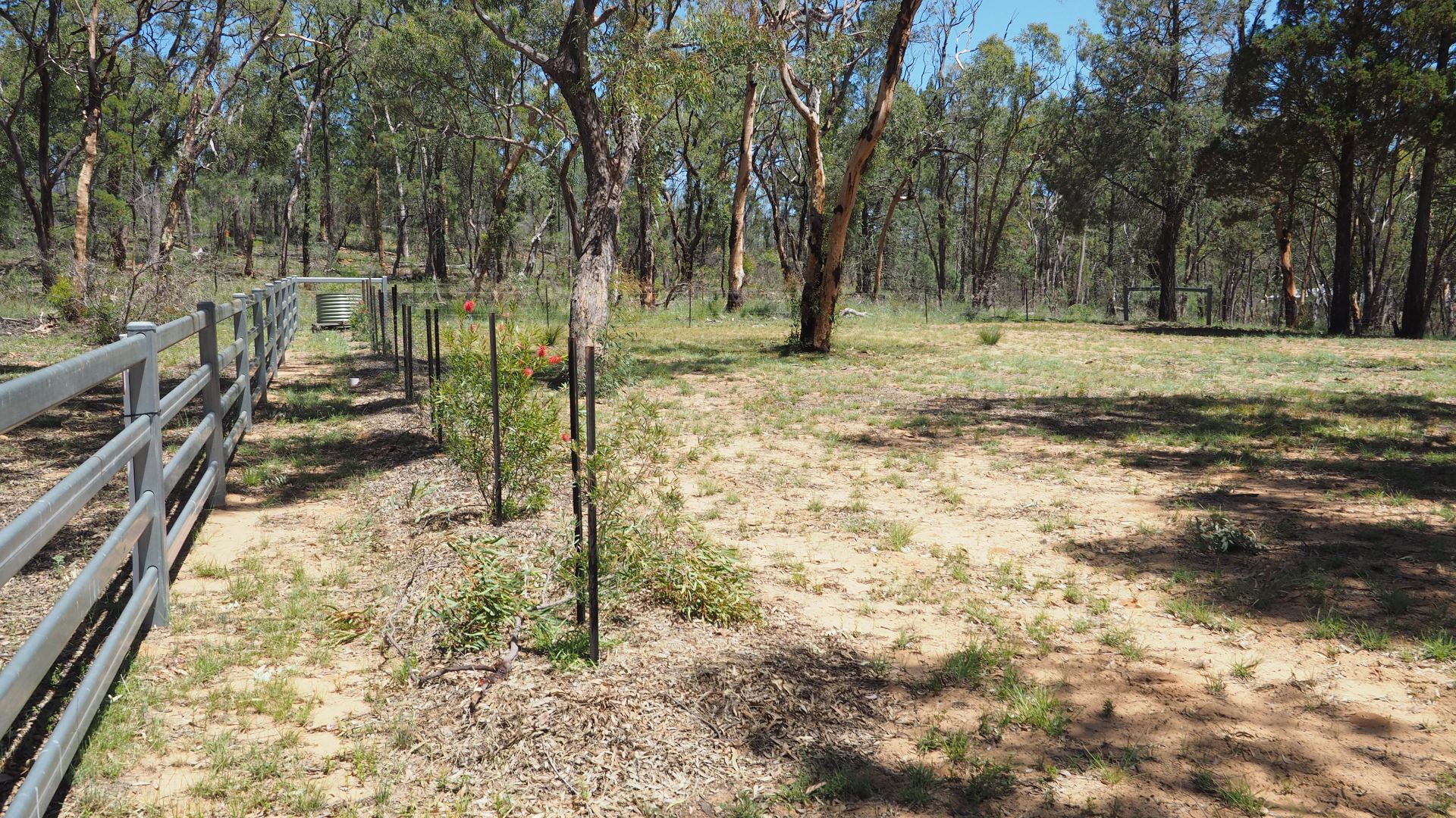 361 Melrose Estate Road, Warialda NSW 2402, Image 2