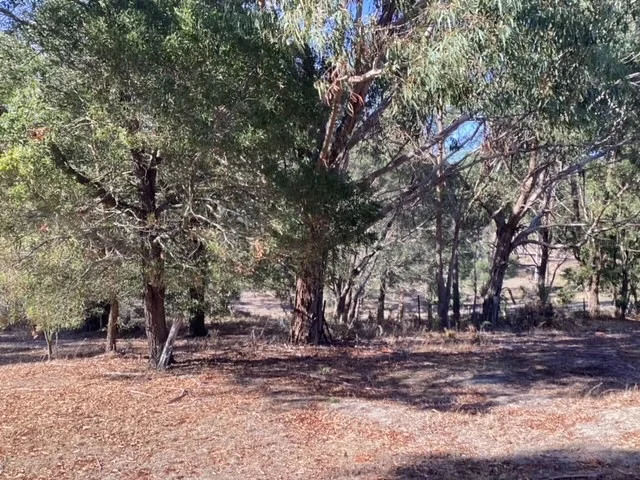 Image 8
