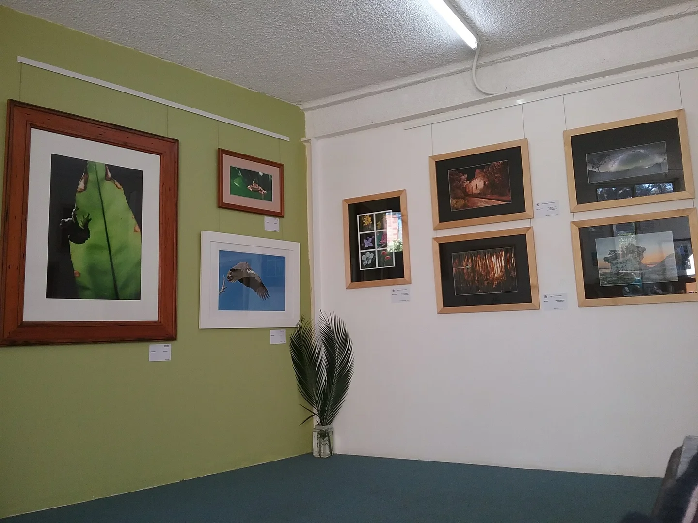 Image 11