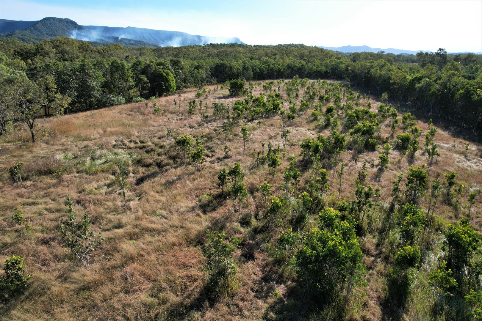 Lot 1 Railway Avenue West, Cooktown QLD 4895 Vacant Land for Sale