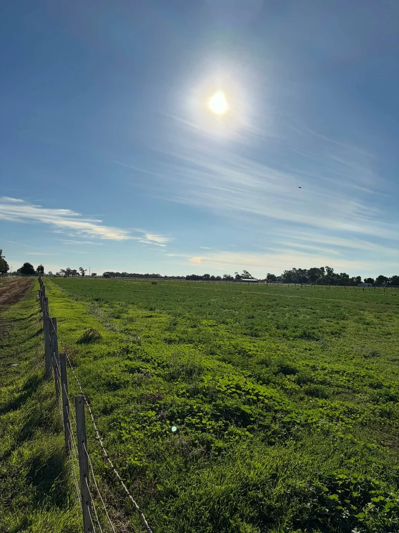 Additional image 9 of 78 Nicholson Lane, Kotta VIC 3565